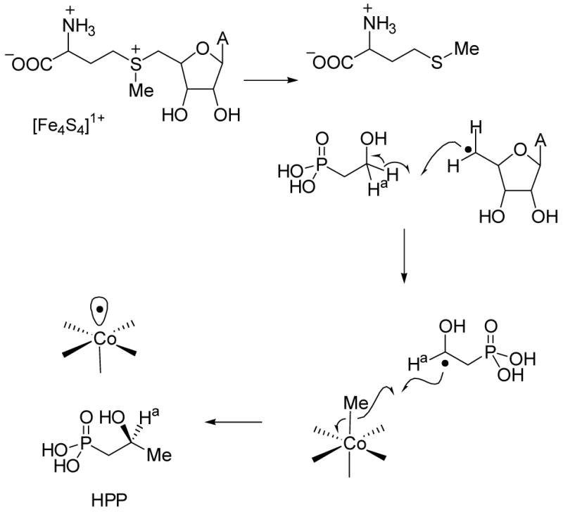 Scheme 14