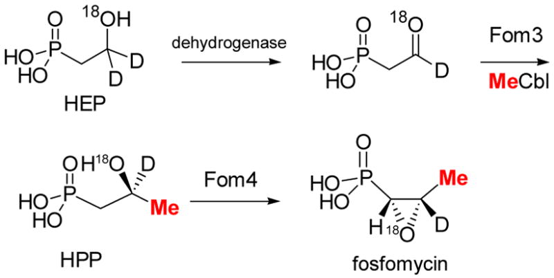 Scheme 13