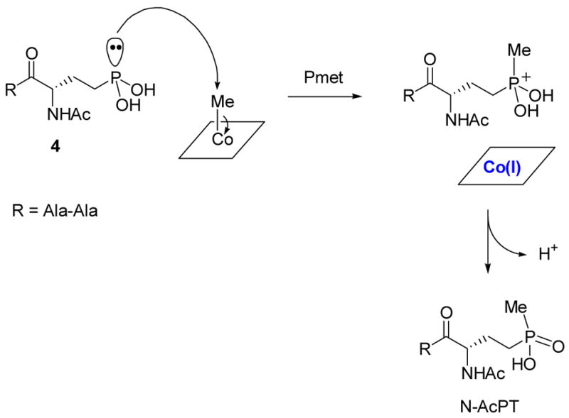 Scheme 10