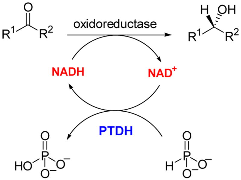 Scheme 6