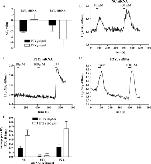 Figure 2