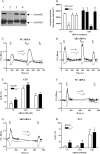 Figure 6