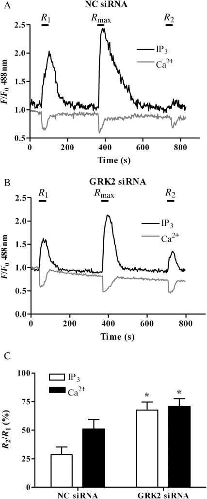 Figure 5