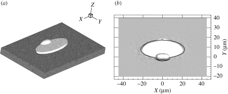 Figure 3.