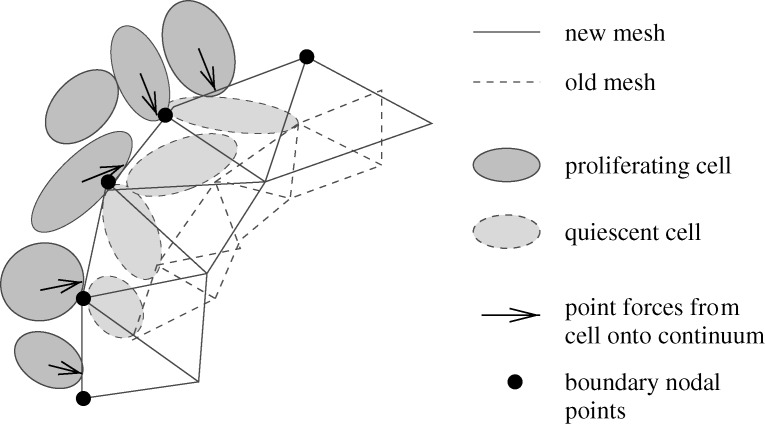 Figure 10.