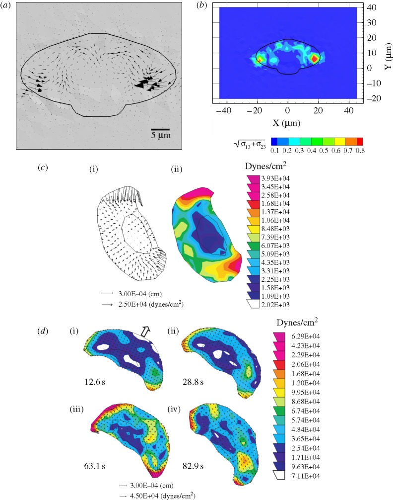 Figure 5.