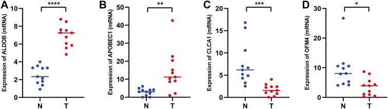 FIGURE 12