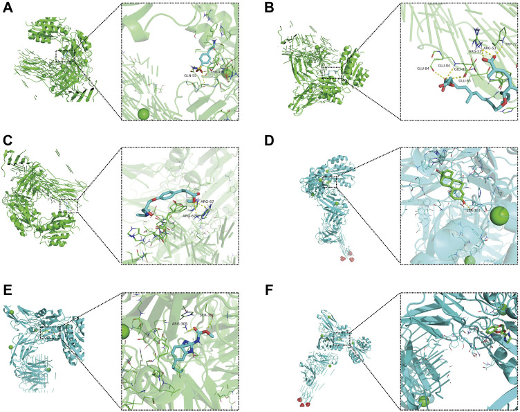 FIGURE 11