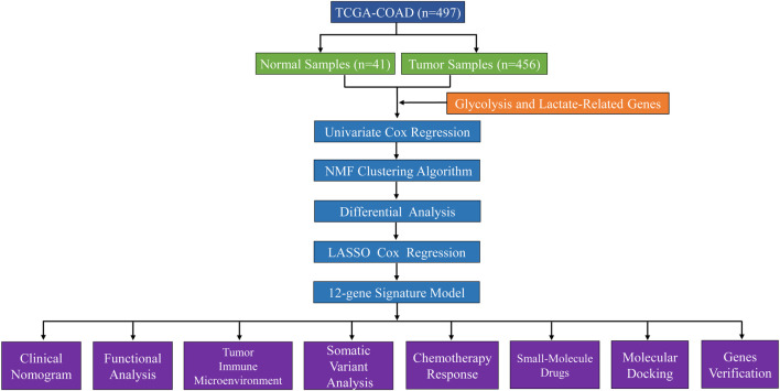 FIGURE 1