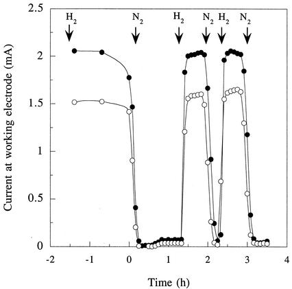 FIG. 6.