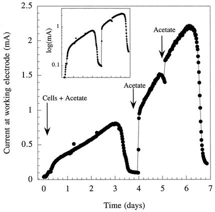 FIG. 3.