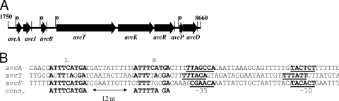 FIG. 2.