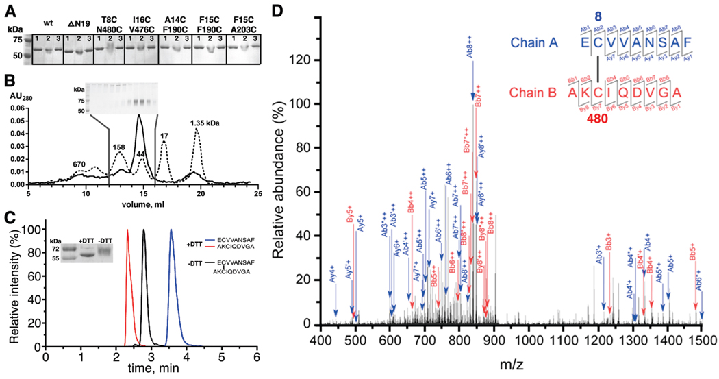 FIGURE 3