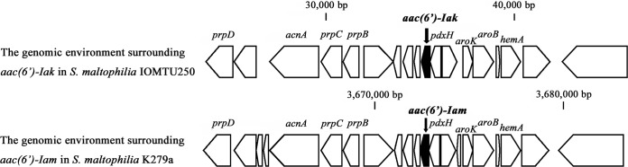 FIG 3