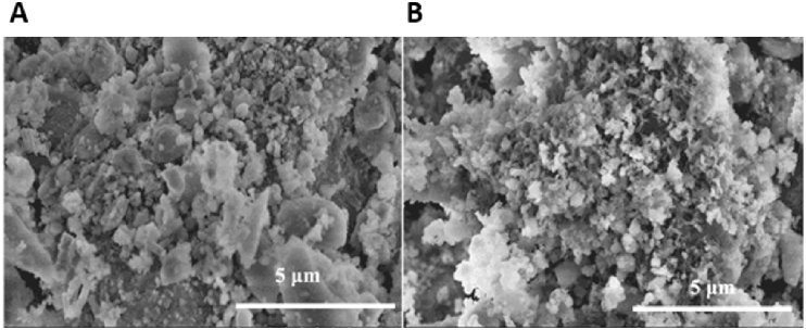 Fig. 10