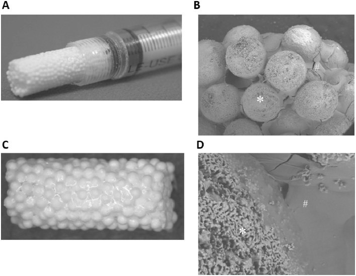 Fig. 7