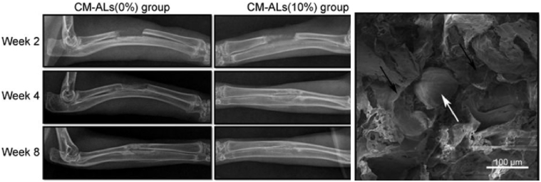 Fig. 13