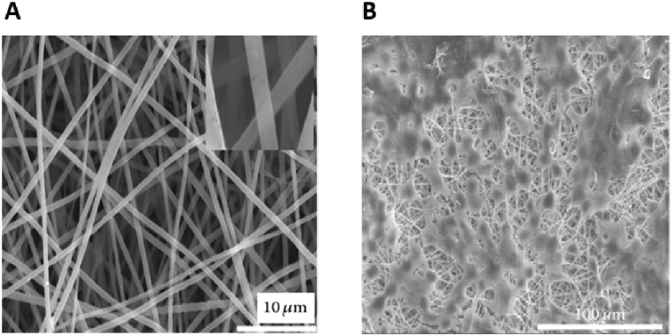 Fig. 17