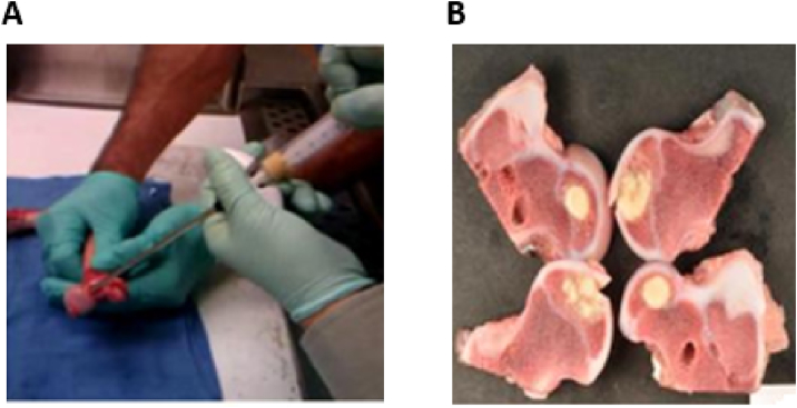 Fig. 20