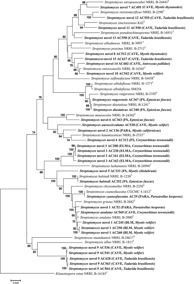 FIG 1