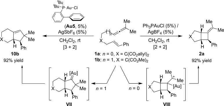 Scheme 8