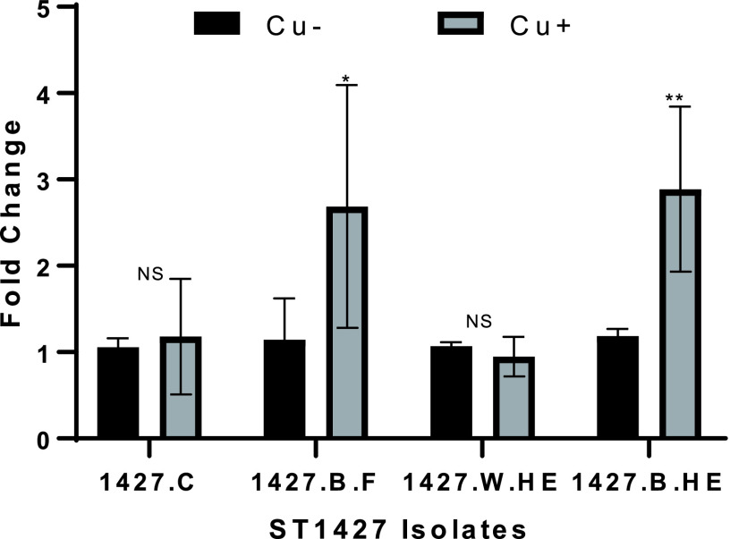 FIG 3