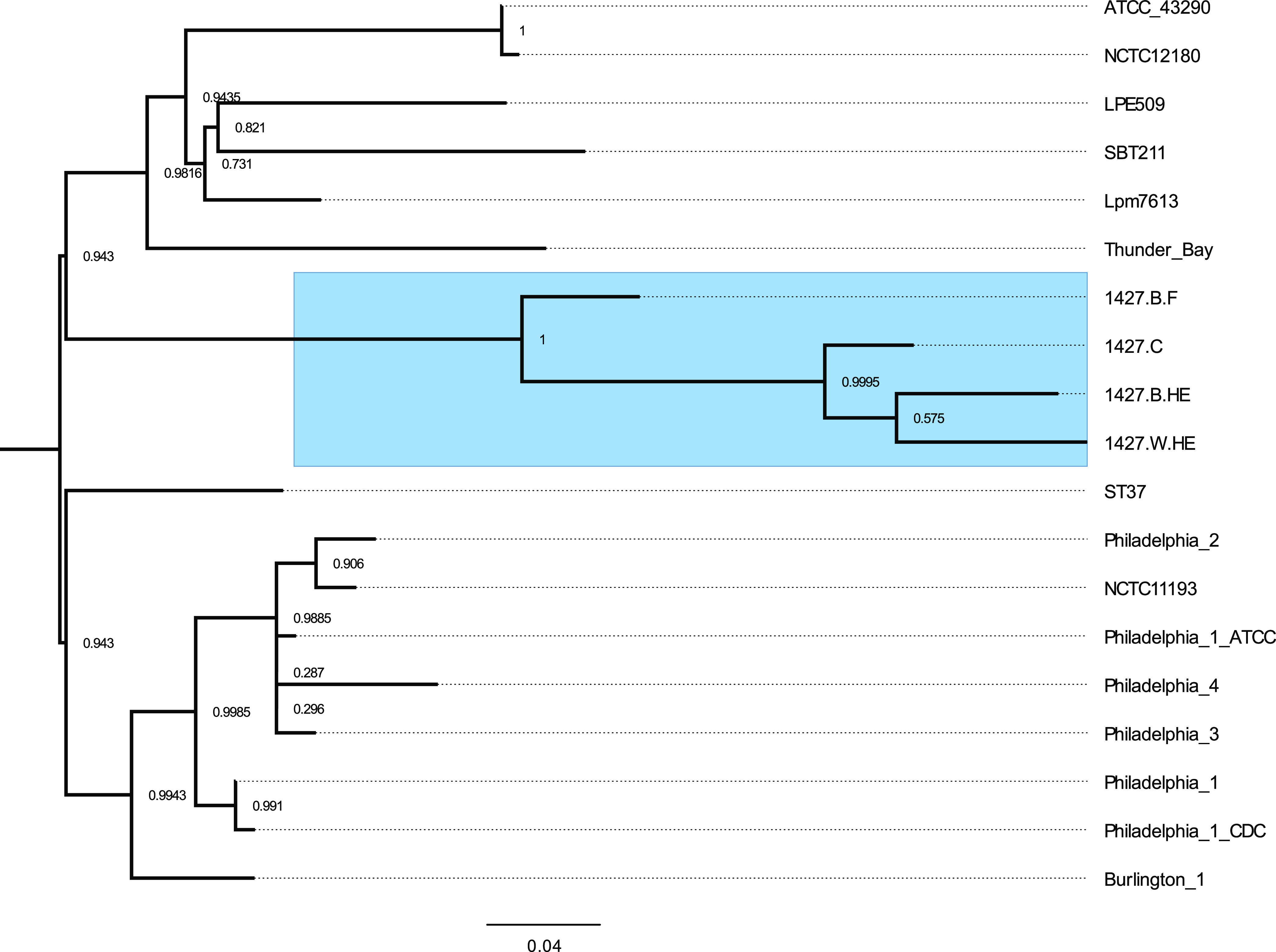 FIG 4