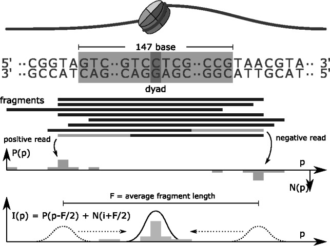 Fig. 1.