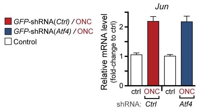 Figure 7—figure supplement 4.