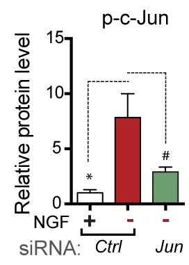 Figure 4—figure supplement 2.