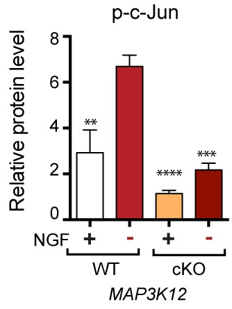 Figure 3—figure supplement 3.