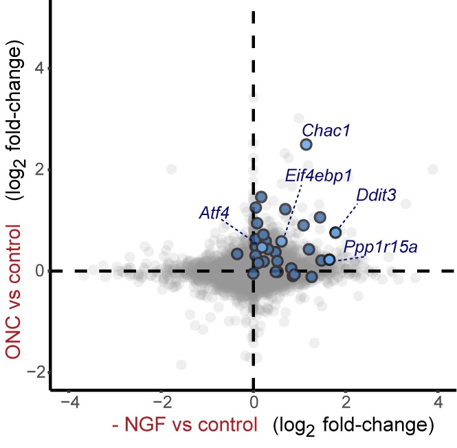 Figure 5—figure supplement 2.