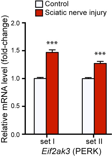 Figure 1—figure supplement 2.