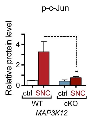 Figure 3—figure supplement 1.