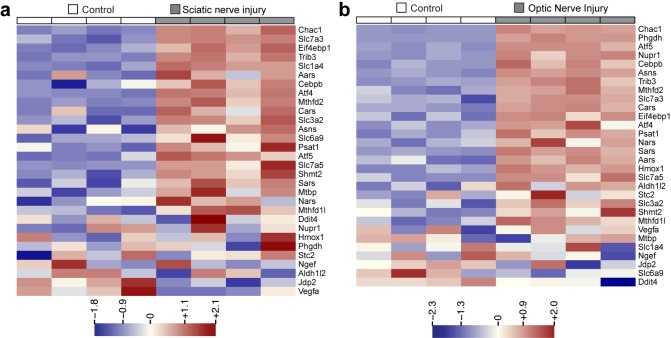 Figure 1—figure supplement 1.