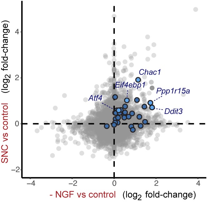 Figure 5—figure supplement 1.