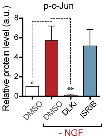 Figure 3—figure supplement 2.