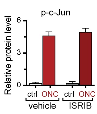 Figure 7—figure supplement 3.