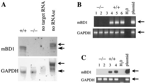 FIG. 1.