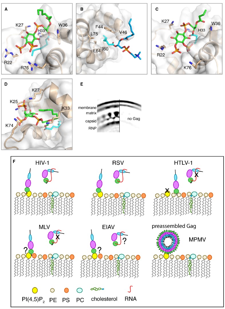 FIGURE 2