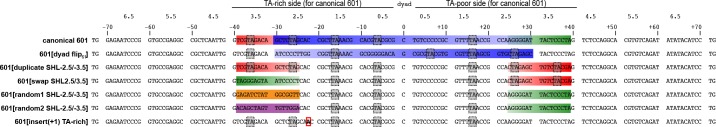 Figure 1—figure supplement 2.