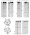 Figure 2—figure supplement 4.