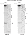 Figure 2—figure supplement 3.