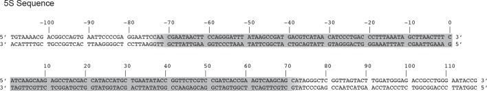 Figure 5—figure supplement 1.