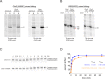 Figure 3—figure supplement 3.