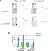 Figure 4—figure supplement 2.