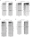 Figure 2—figure supplement 2.