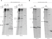 Figure 3—figure supplement 1.