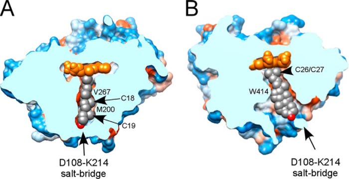 FIGURE 5.