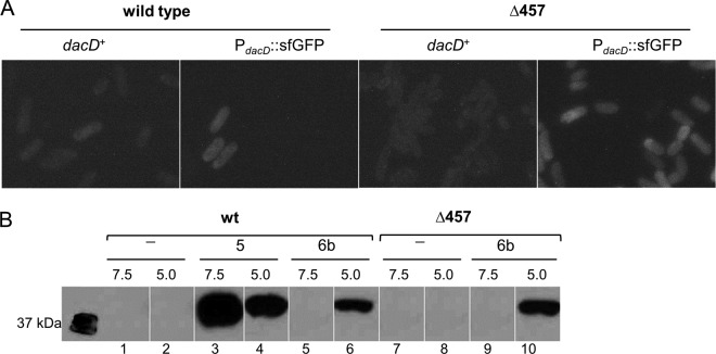 FIG 2 